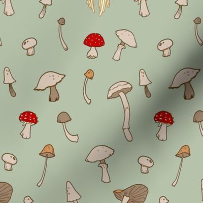 Shrooms 2