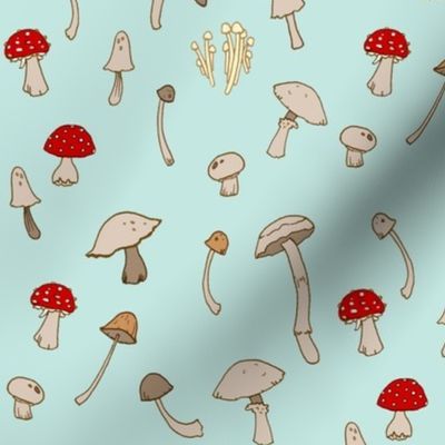 Shrooms 1