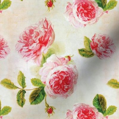 Vintage Peony Floral