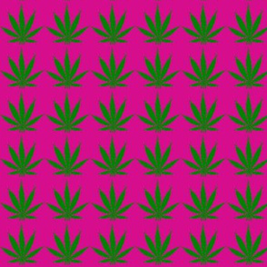 420 pot leaf - Maui Wowie