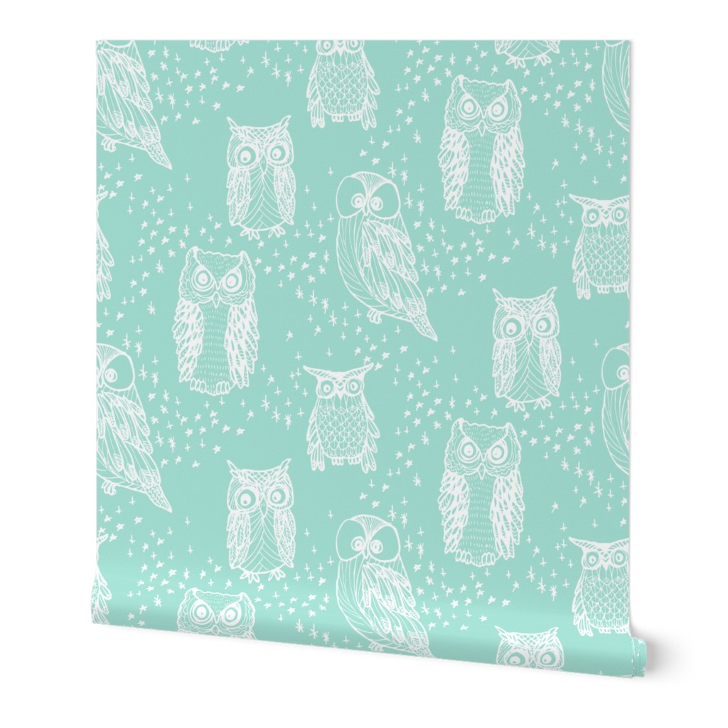 Little Owl in Aqua