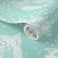 Little Owl in Aqua