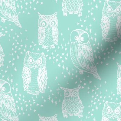 Little Owl in Aqua