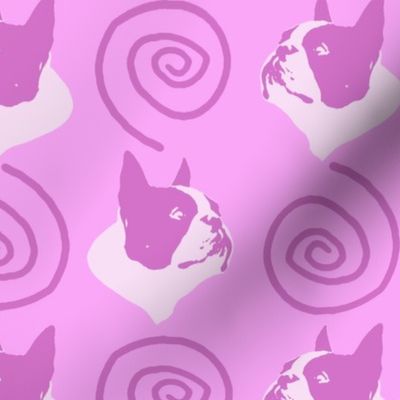 Whimsical Boston Terrier faces - pink