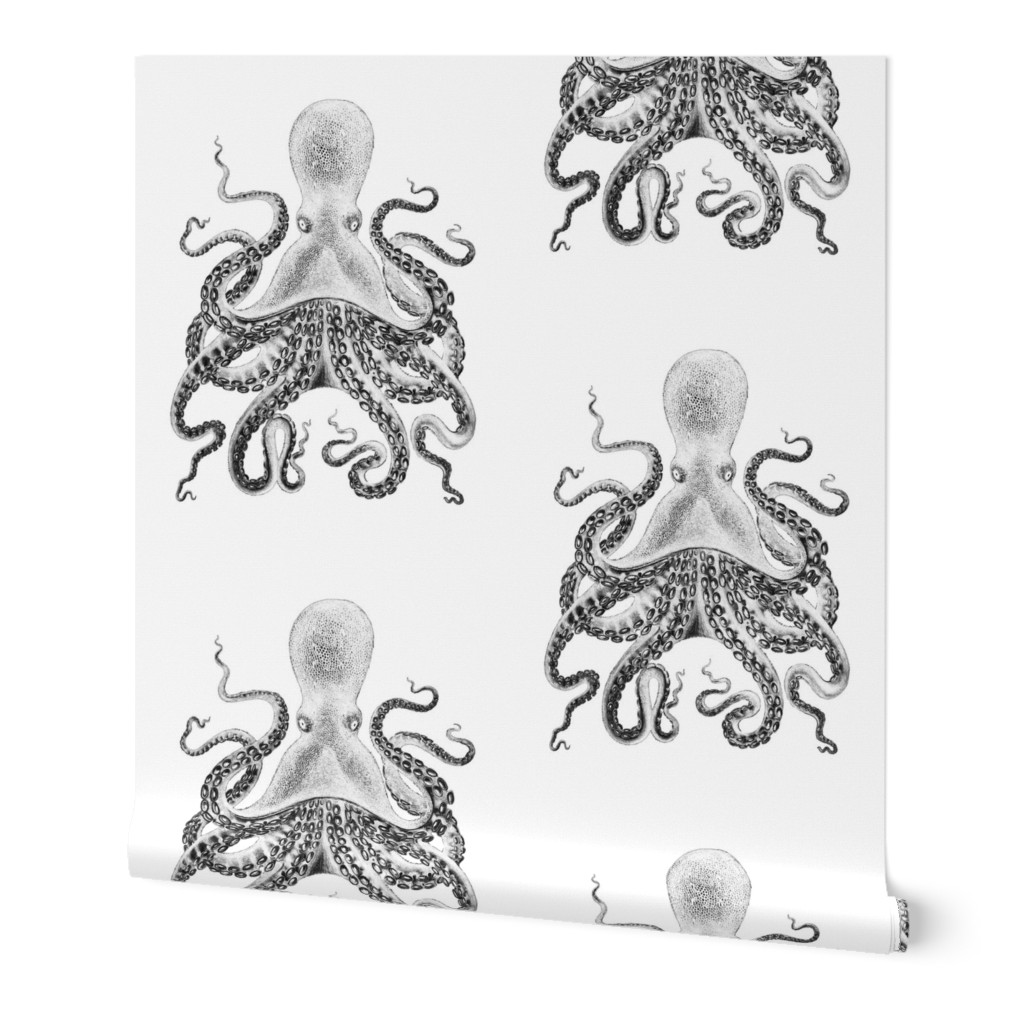 Octopus in Reverse on White