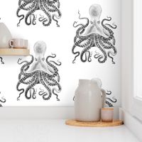 Octopus in Reverse on White