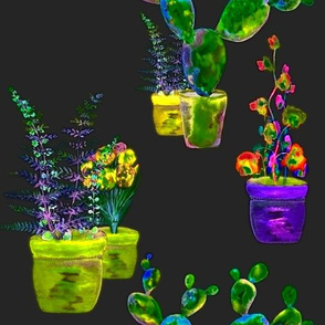 GARDENING NIGHT GLOW lime purple yellow fern cactus flowers