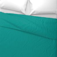 solid tropical teal (009790)