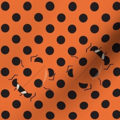 Coccinellid Camouflage