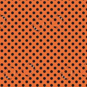 Coccinellid Camouflage