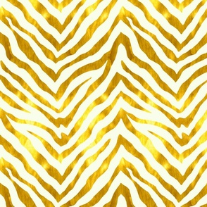 Gold and White Zebra