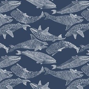 Whales in Blue