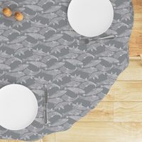 Whales in Gray