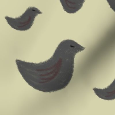 tweety birds