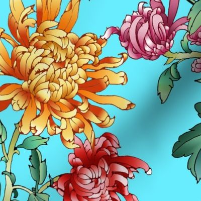 chrysantemum_turquoise  