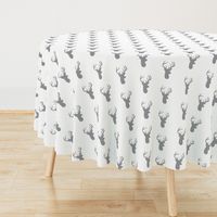 Grey Deer on White