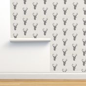 Grey Deer on White