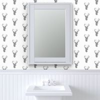 Grey Deer on White