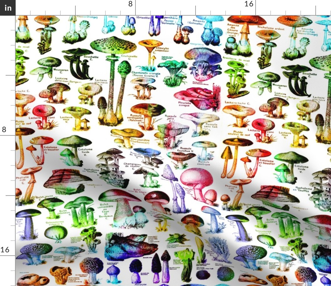 Rainbow Mushroom Pattern - Colorful Mushrooms