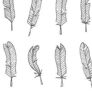 feathers