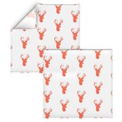 Coral Deer on White