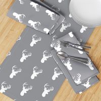 White Deer on Grey