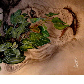 Lioness Peering through Mopani Tree leaves.