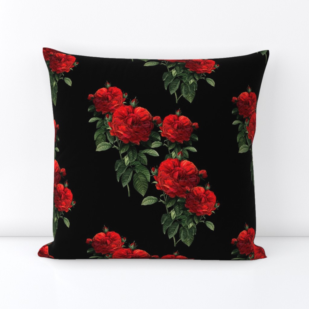 Redoute' Roses ~ Riot of Red ~Jumble ~ Blackmail