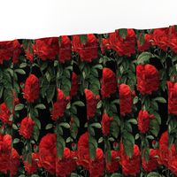 Redoute' Roses ~ Riot of Red ~ Blackmail