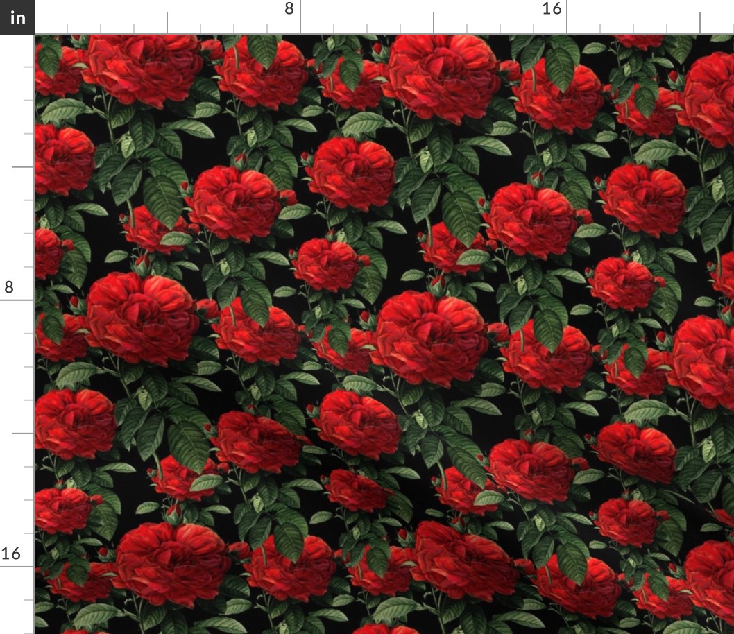 Redoute' Roses ~ Riot of Red ~ Blackmail