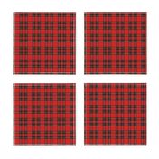 Royal Stewart Tartan ~ Wee