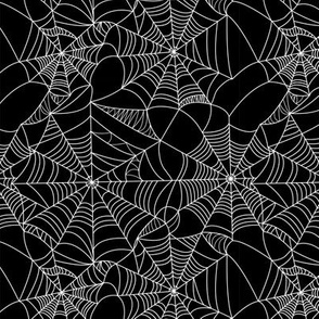 Spider Web Wallpapers 32 Top Free Spider Web Photos For Desktop | Amazing  spider, Background pictures, Spider web