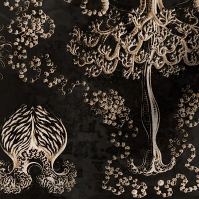 Jellyfish in Hazy Black and Gold