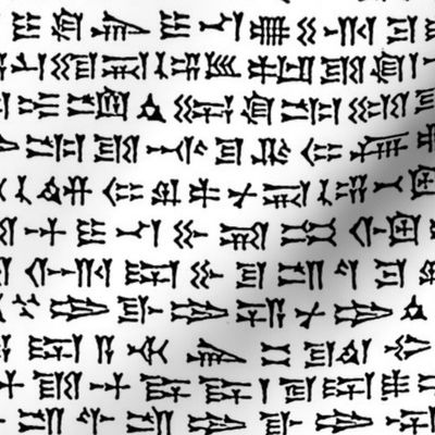 Cuneiform text in black and white, large