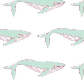 Whale oh Whale Version 1
