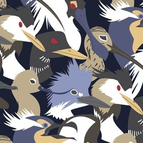 Waterbirds Graphic