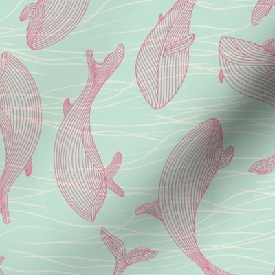 Whale_ripple