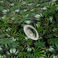 Painted Cannabis Leaves