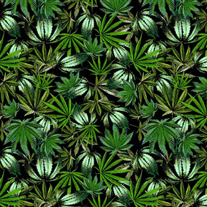 Painted Cannabis Leaves