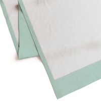 solid pale aqua (C6E5D9)