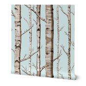 Birch Grove in Sky