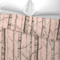 Birch Grove in Blush