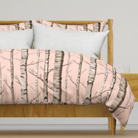 Birch Grove in Blush