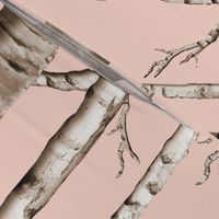 Birch Grove in Blush