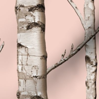 Birch Grove in Blush