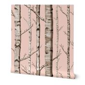 Birch Grove in Blush