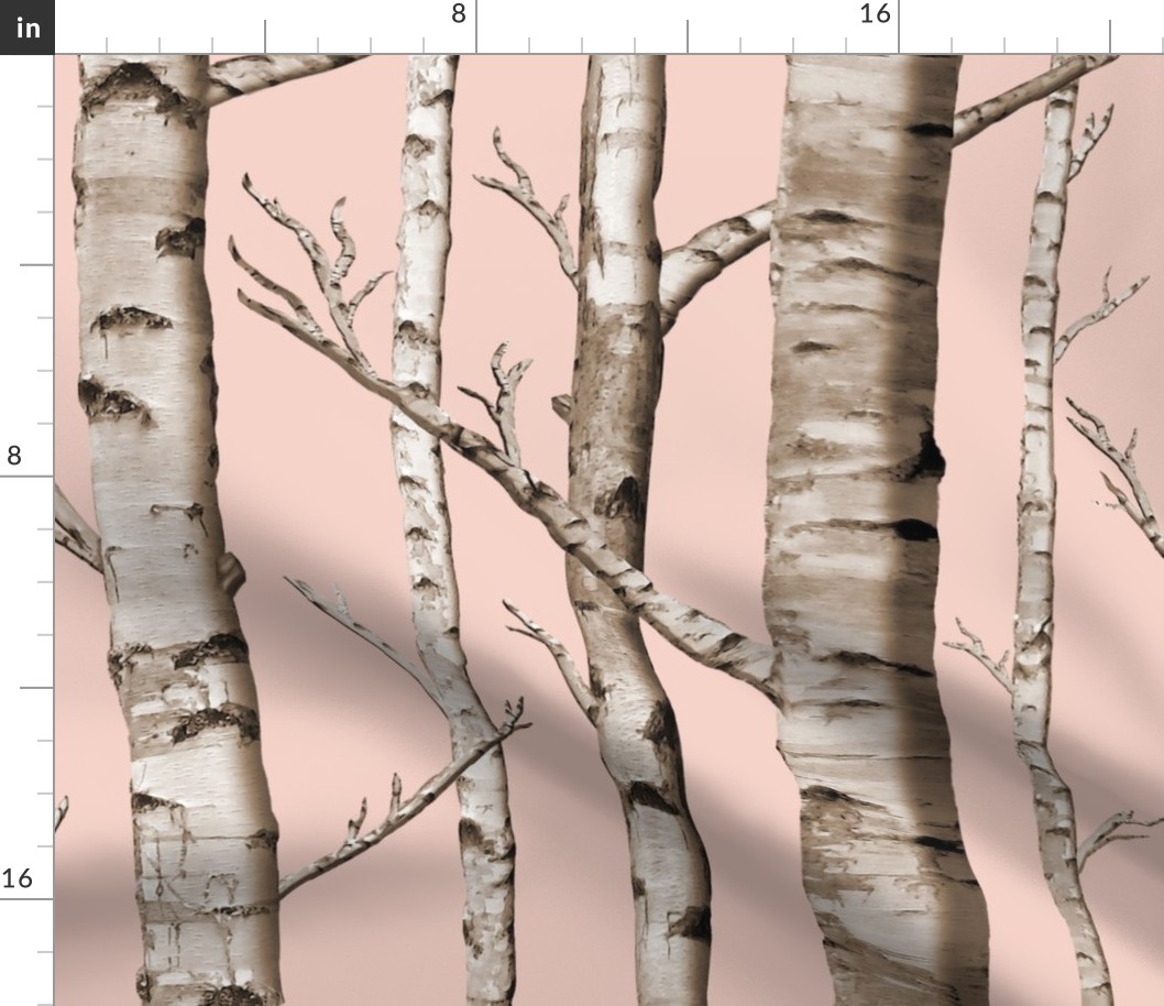 Birch Grove in Blush