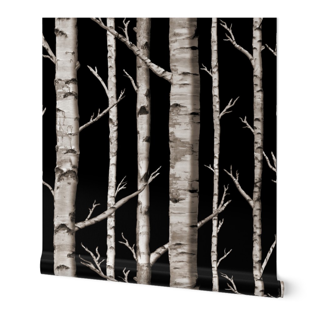 Birch Grove in Midnight Hush