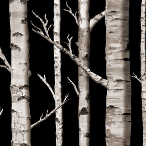 Birch Grove in Midnight Hush