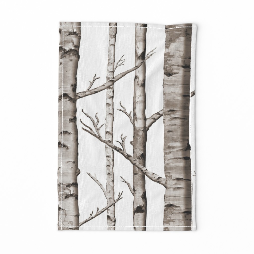 Birch Forest in Black and White